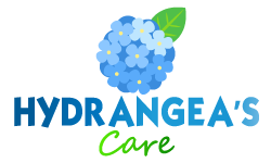 Hydrangea's Care